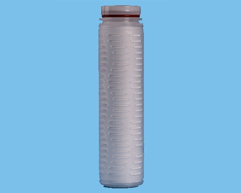 1565768447.jpg